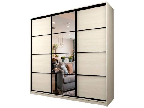 Шкаф-купе Max МШ-25-6-24-151