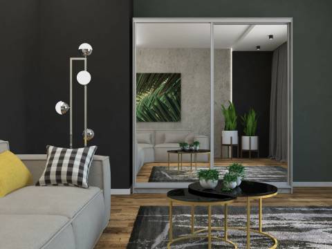 Шкаф-купе Юлия 2000 зеркало/зеркало серый