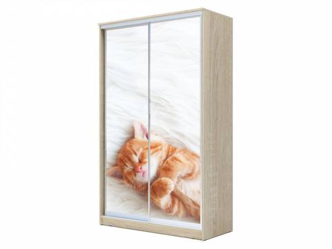 Шкаф-купе Хит 23-14-77 фото 23