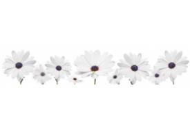 Фартук с фотопечатью Цветы SP232